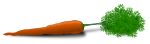 whole carrot
